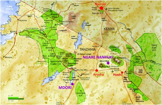 Northern Tanzania: The Complete Safari Tour Menu