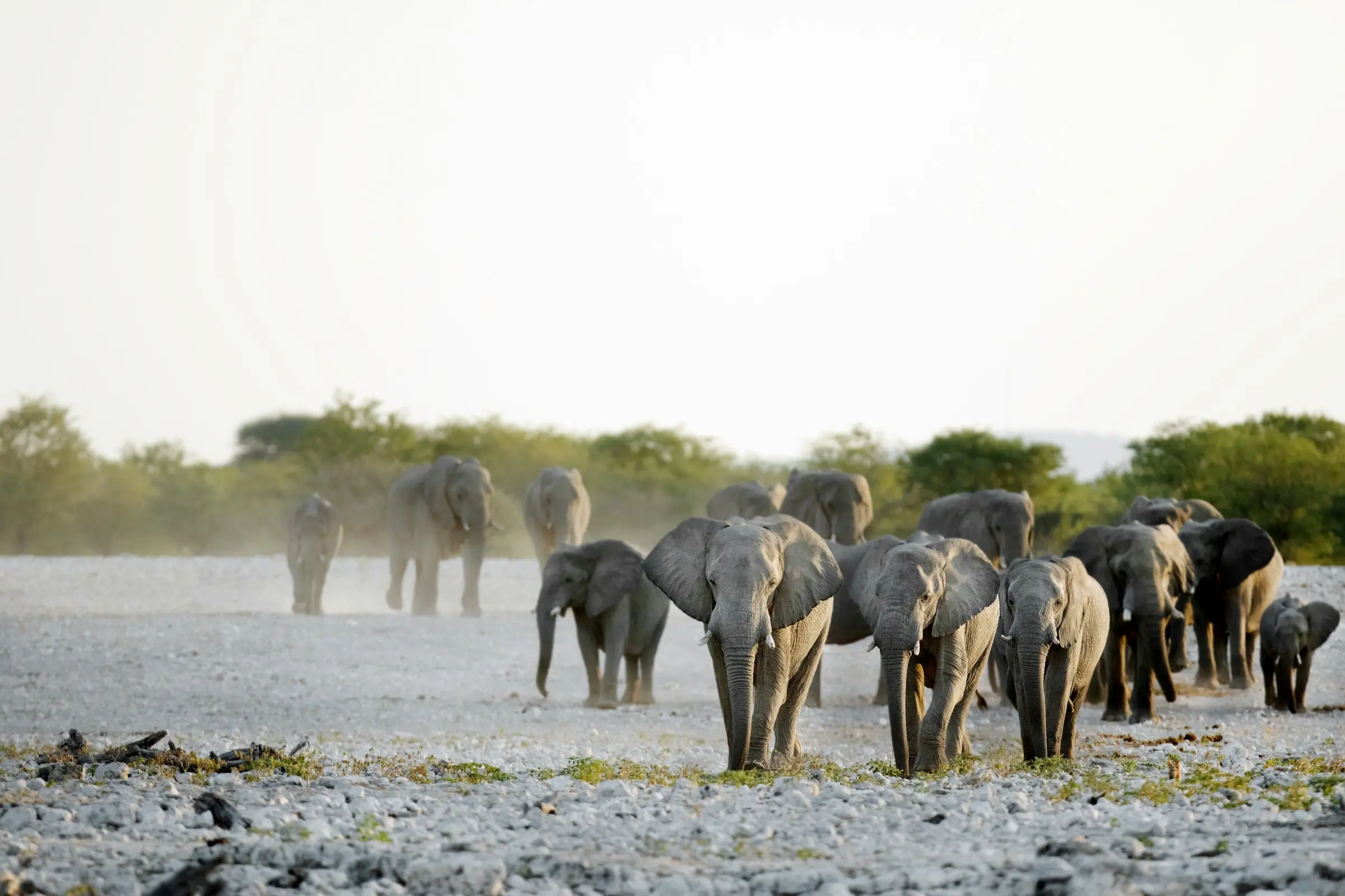 2 Days Ngorongoro & Tarangire from Zanzibar safari highlight