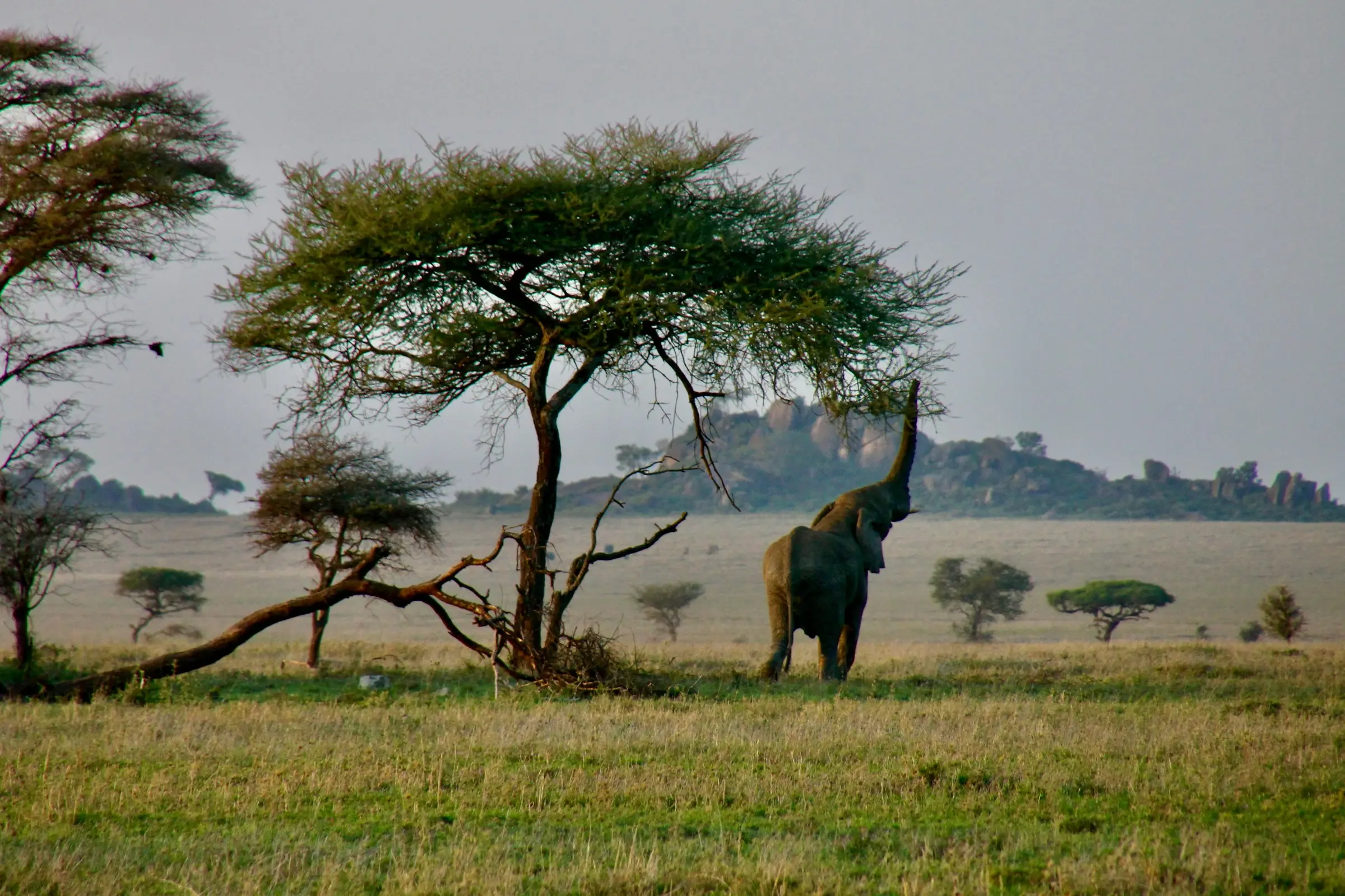 Arusha to Lake Manyara National Park on Day 2